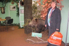 1_FEHOVA2007_035
