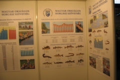 1_FEHOVA2007_052