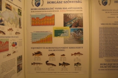 FEHOVA2007_054